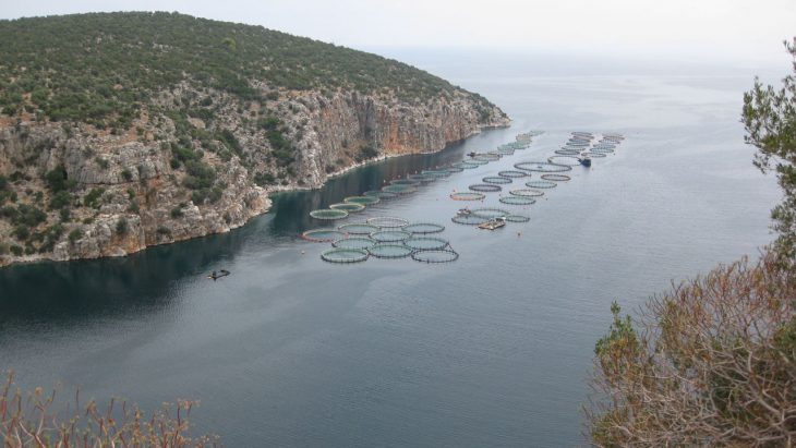 Απόδοση ευθυνών για τον πνιγμό του εργαζόμενου στην ιχθυοκαλλιέργεια ζητά το ΚΚΕ Αιτω/νίας