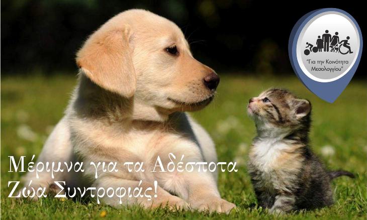 Μέριμνα για τα Αδέσποτα Ζώα Συντροφιάς, πρόταση από τον συνδυασμό “Για την Κοινότητα Μεσολογγίου”