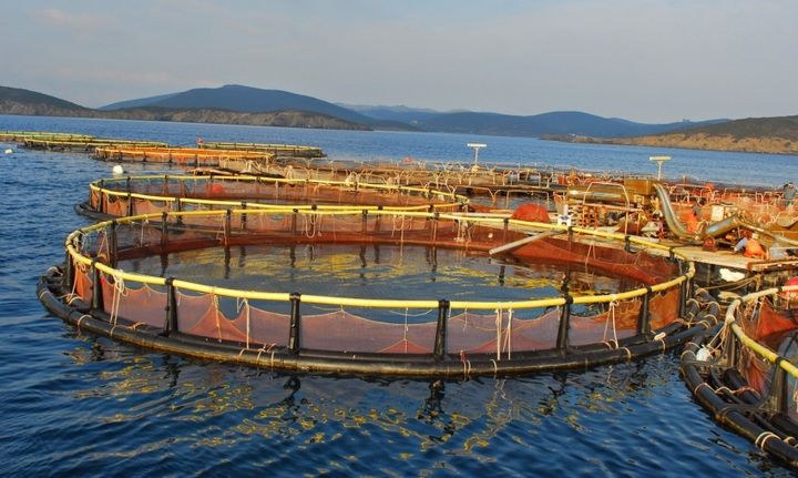 ΚΚΕ- Νέο εργοδοτικό έγκλημα στο ΝΗΡΕΑ