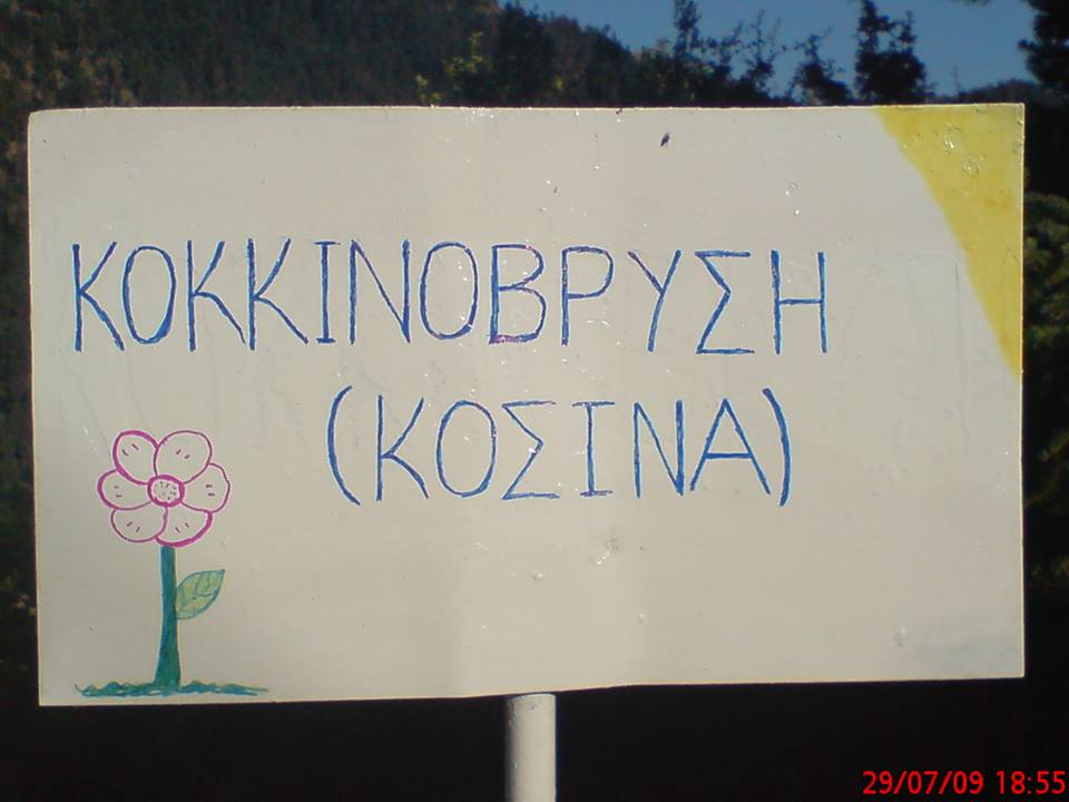 Ετήσιος χορός Κοκκινοβρυσιωτών-Κοσινιωτών