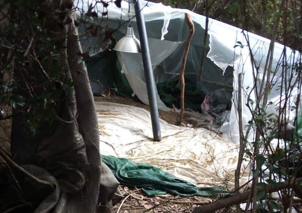 Αποκαλυπτικό βίντεο-δηλώσεις από την εξάρθρωση της πολυμελούς εγκληματικής οργάνωσης με διακίνηση ναρκωτικών στη Δυτική Ελλάδα