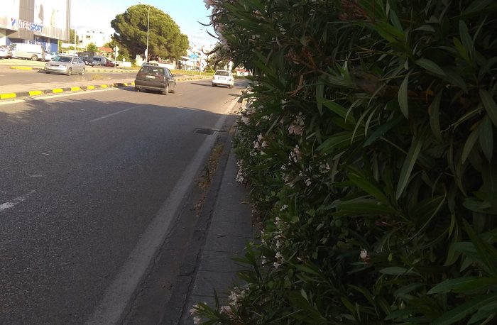 Αγρίνιο:Κίνδυνος πρόκλησης ατυχήματος από την πυκνή βλάστηση στην Αερογέφυρα!