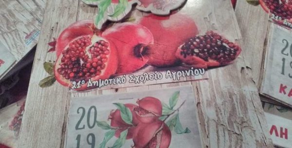 Πλούσιος ο απολογισμός του 21ου Δημοτικού Σχολείου Αγρινίου
