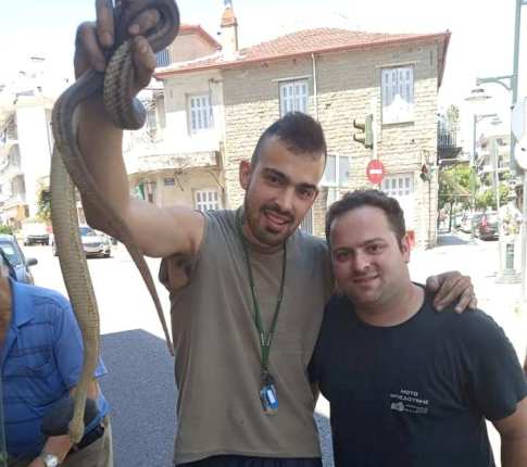Αγρίνιο-Τεράστιο φίδι τρύπωσε σε μηχανάκι!