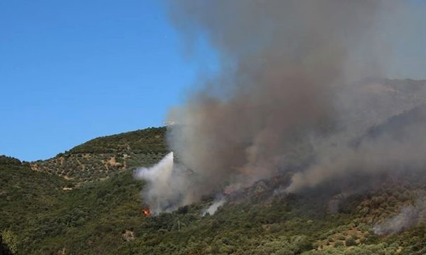 Φωτιά σε δασική περιοχή στο Βασιλόπουλο Ξηρομέρου