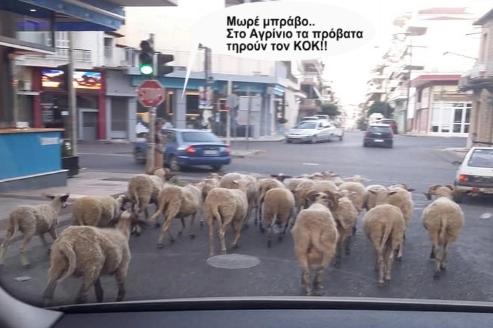 Η Φωτογραφία Της Ημέρας!