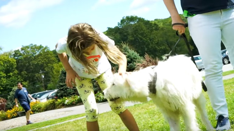 Η νέα ζωή του «Χάτσικο» της Ναυπάκτου στην Ισπανία(video)