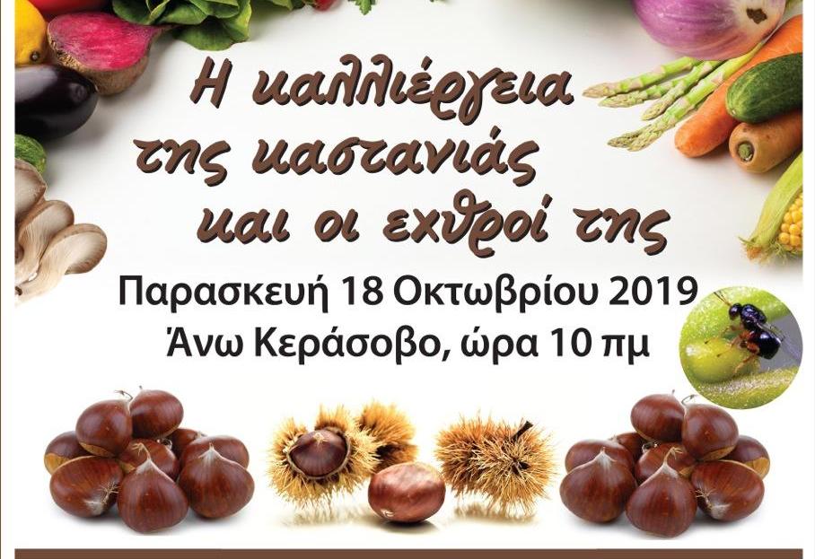 Hμερίδα για την καστανιά στο Άνω Κεράσοβο