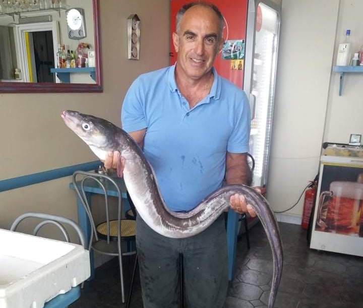«Ψάρι-φίδι» έβγαλαν τα δίχτυα ψαρά στην Πάλαιρο