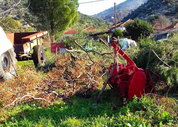 Καραϊσκάκη Ξηρομέρου: Διαμαρτυρίες για τις κοπές πεύκων-Ζητούν παρέμβαση δήμου & δασαρχείου