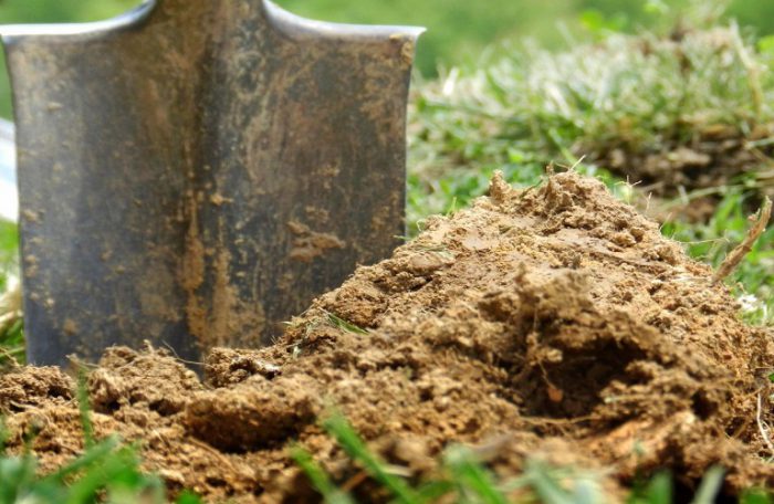Ημερολόγιο Καλλιεργειών 2020