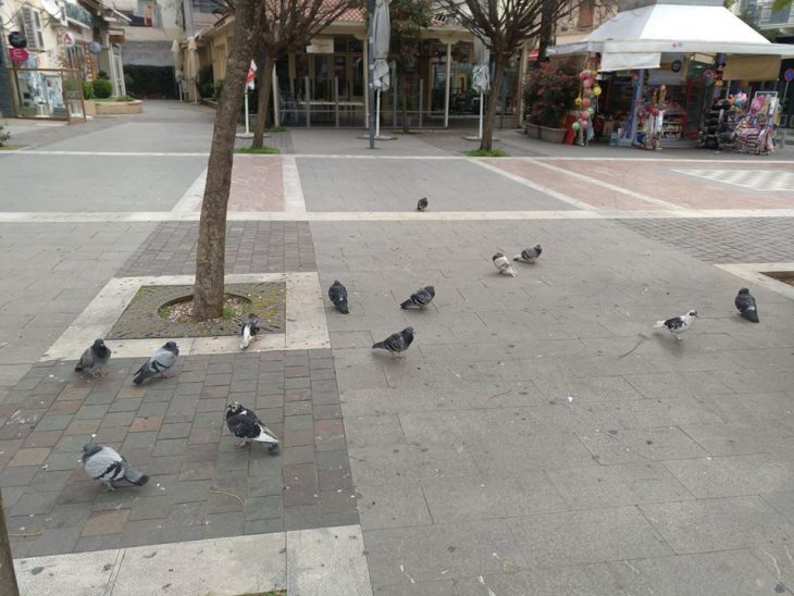 Ερήμωσε η πλατεία…. έμειναν μόνο τα πεινασμένα περιστέρια!