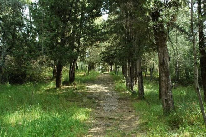 Ακυρώνεται το 2ο Citytrail Αγρινίου