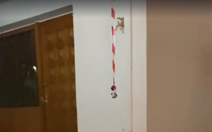 Επική πατέντα για το τσούγκρισμα των αυγών! Η απίθανη εξήγηση της εικόνας μετά την Ανάσταση (Βίντεο)