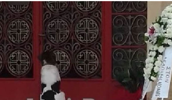 Συγκλόνισε σκύλος στην κηδεία του αφεντικού του