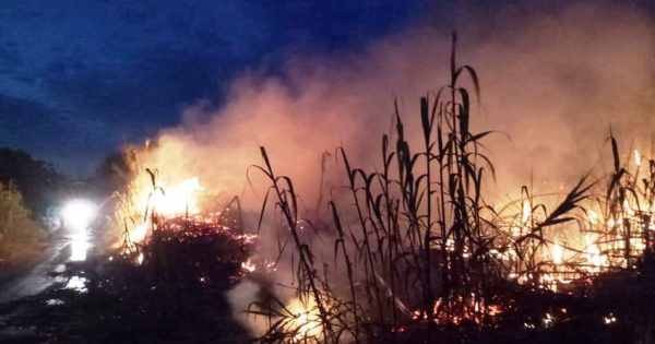 Αγρίνιο: Σε εξέλιξη βρίσκεται αυτήν την ώρα πυρκαγιά-Κινητοποίηση της Πυροσβεστικής