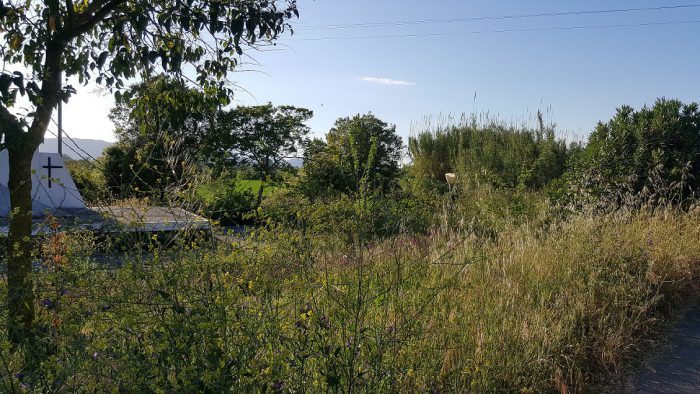 Τα χόρτα “έπνιξαν” το Μνημείο των εκτελεσθέντων στα καλύβια