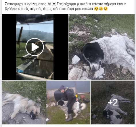 Φαρμάκωσαν δυο σκυλιά στο Μοναστηράκ