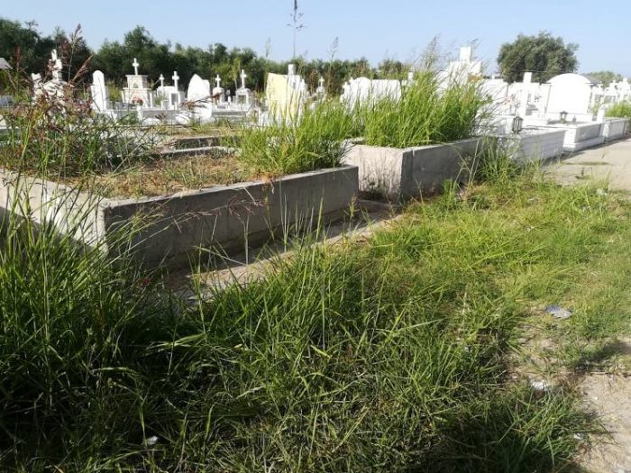Τραγική  η κατάσταση στο νεκροταφείο του Αγ. Θωμά Μεσολογγίου