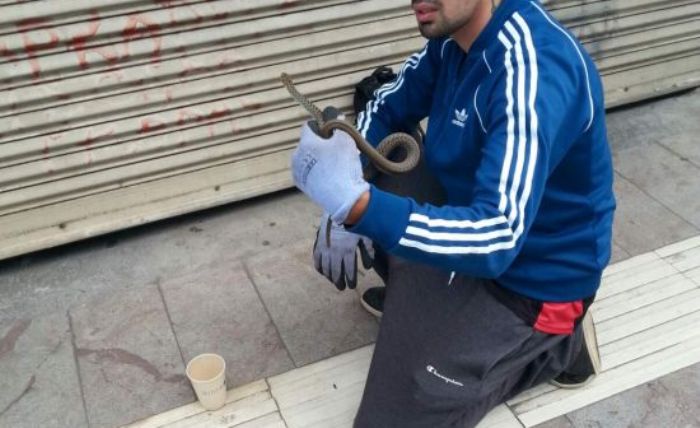 Φίδι στην αυλή ξενοδοχείου στο Αγρίνιο