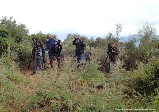Συγκρατημένη αισιοδοξία για το μέλλον των απειλούμενων γυπών της Αιτωλοακαρνανίας