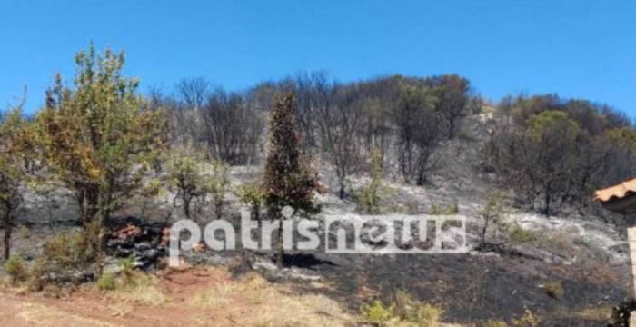 55χρονος βρέθηκε νεκρός κοντά στο σημείο της πυρκαγιάς στην Παλαιά Φιγαλεία Ηλείας