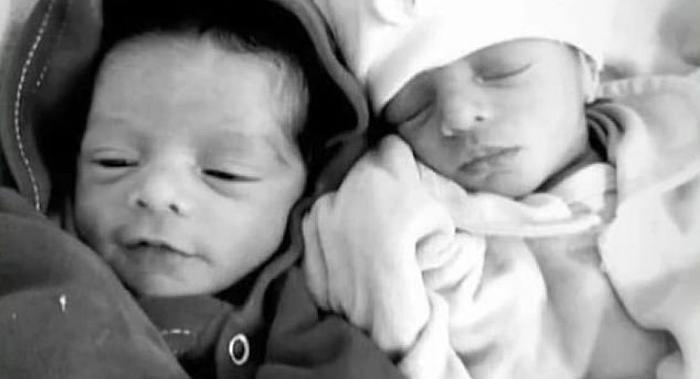 Προσπαθούσε 9 χρόνια να κάνει παιδί: Το λαμπραντόρ της κατασπάραξε τα δίδυμά της