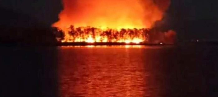 Φωτιά στο Μεσολόγγι-Μάχη δίνει η Πυροσβεστική (βιντεο-φωτο)