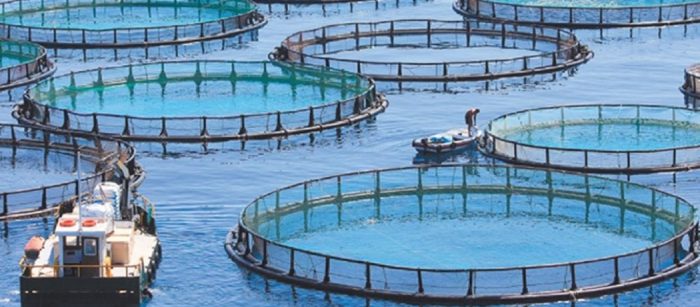 Βυθίστηκε σκάφος ιχθυοκαλλιέργειας δυτικά της νήσου “ΠΕΤΑΛΑΣ” Εχινάδων νήσων