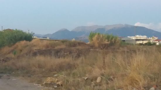Αγρίνιο: 5 στρέμματα έκαψε φωτιά κοντά στο κλειστό της αερογέφυρας (φωτο)