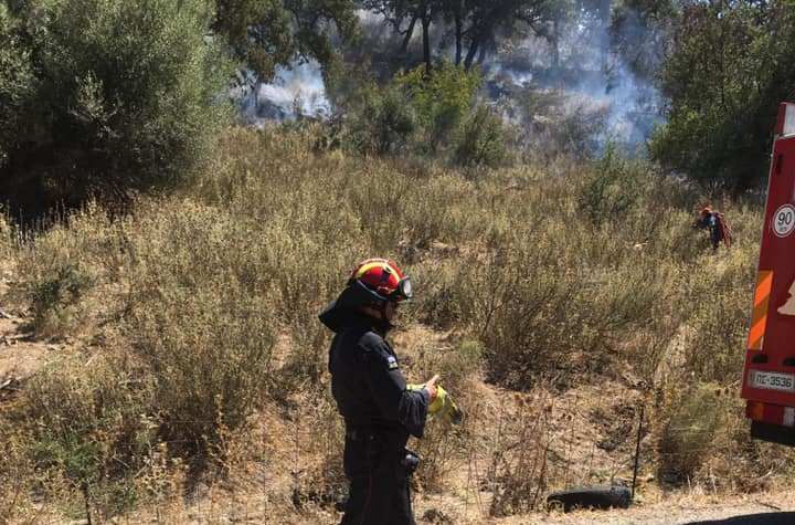 Πρόσληψη 14 εργαζομένων στην καθαριότητα των σχολικών μονάδων του δήμου Ξηρομέρου