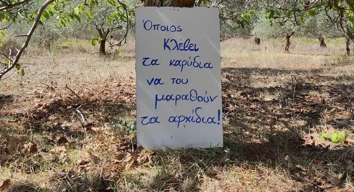 Κλέφτες με αδυναμία στα ….καρύδια-Αγανακτισμένος Αγρινιώτης αγρότης τους στέλνει μήνυμα!