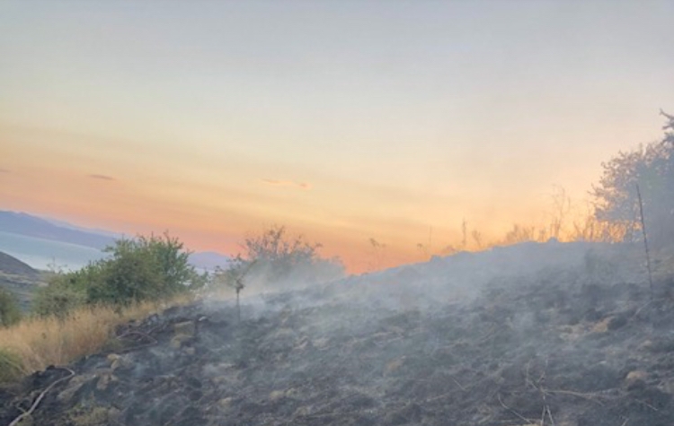 Κινητοποίηση της Πυροσβεστικής για φωτιά στην Αμφιλοχία(φωτο)