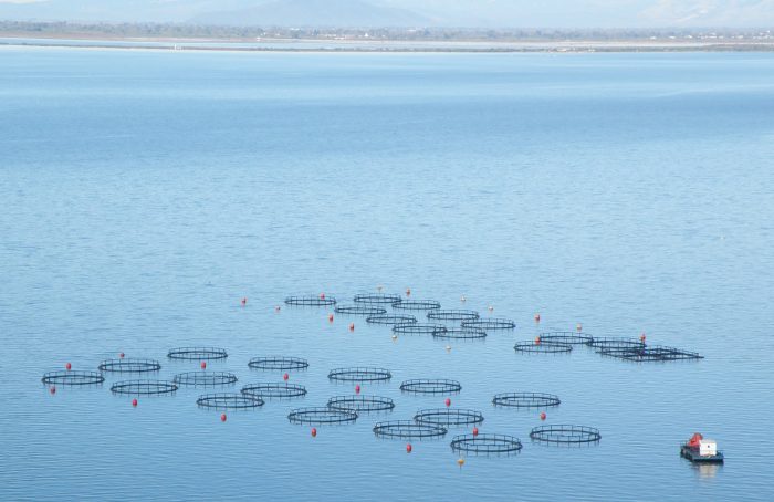 ΟΙΚΟΛΟΓΙΚΗ ΔΥΤΙΚΗ ΕΛΛΑΔΑ:Η Περιφέρεια συμβάλει στο τέλος του Αμβρακικού!
