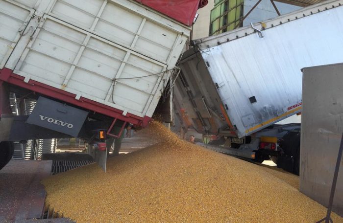 Παραλαβή καλαμποκιού στην Ένωση Αγρινίου