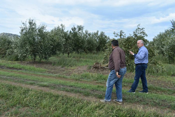 Λύρος: Άμεσα να εκτιμηθούν και να αποζημιωθούν οι ζημιές στον κάμπο Οινιαδών