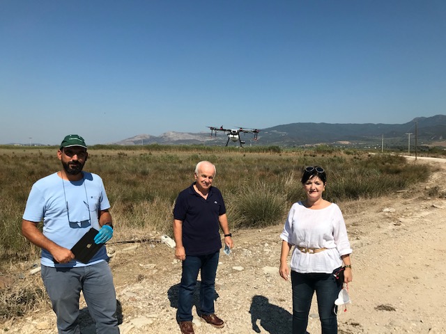 Η Αντιπεριφερειάρχης Αιτωλ/νίας Μαρία Σαλμά στις εργασίες καταπολέμησης κωνοποειδών