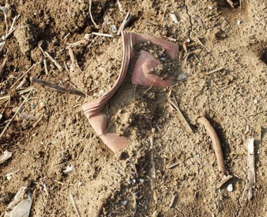 Δ.Ε Στράτου: Οι ακαθαρσίες του “Ρύακα” στην παλαιά κοίτη του Αχελώου!(φωτο)