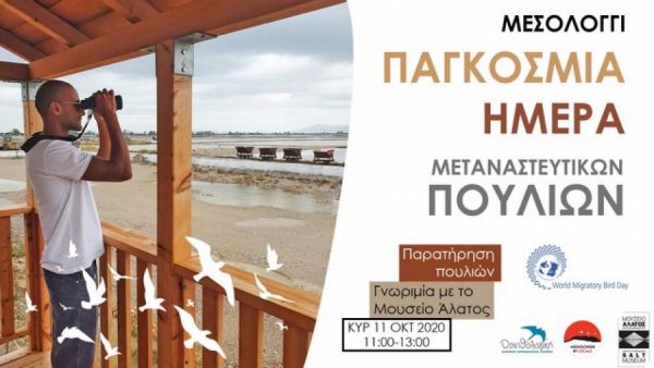 Γιορτή της Παγκόσμιας Ημέρας Μεταναστευτικών Πουλιών στο Μεσολόγγι