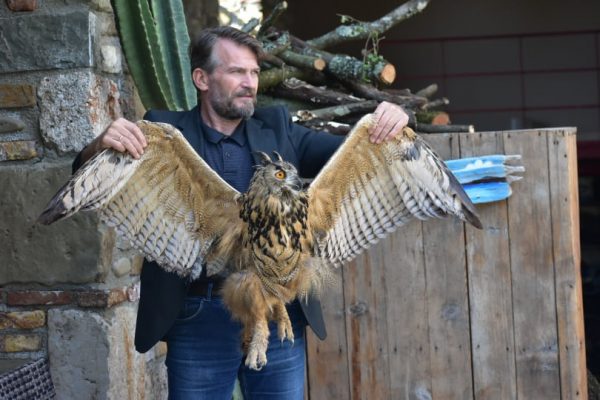 Η μεγαλύτερη κουκουβάγια του κόσμου διασώθηκε στην περιοχή Καλυβίων Αγρινίου