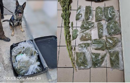 H αλάνθαστη μύτη της Αnko ξετρύπωσε «φούντα» κρυμμένη μέσα σε μια βαλίτσα