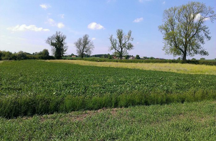 ΟΠΕΚΕΠΕ: Βασική – Πράσινη Ενίσχυση: αναρτήθηκαν τα αποτελέσματα ελέγχων