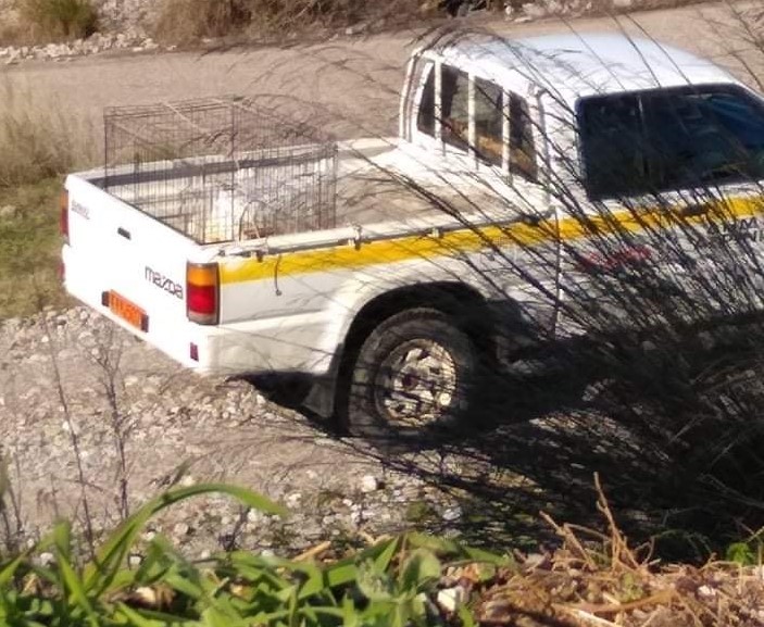 Νέες αντιδράσεις για το “κολαστήριο” αδέσποτων στην περιοχή της Στράτου!