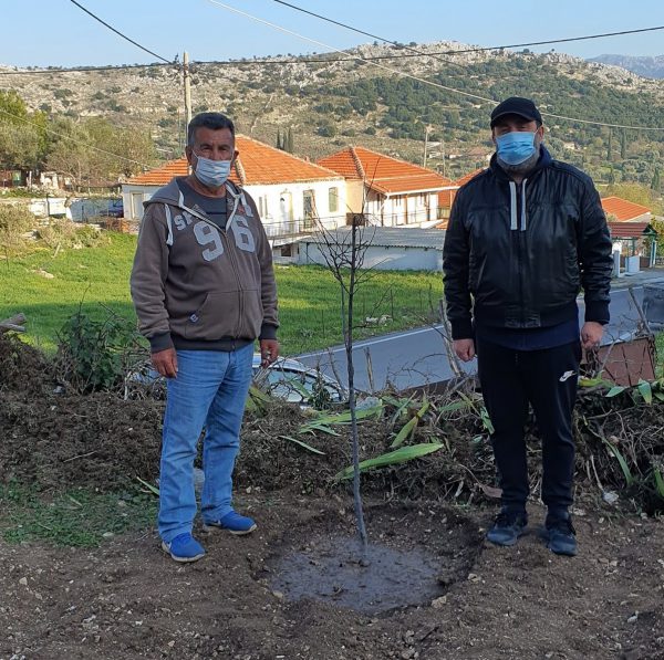 Δενδροφύτευση στο Αρχοντοχώρι από τον Περιβαλλοντικό Πολιτιστικό Σύλλογο Αρχοντοχωρίου “Η Ζάβιτσα”