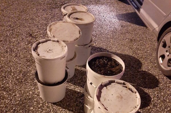 “Μπλόκο” από το Λιμεναρχείο Μεσολογγίου σε αλιευτικό σκάφος με αλιεύματα στο Βαλτί