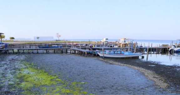 Η άμπωτη “εξαφάνισε” τη Θάλασσα στο Μεσολόγγι