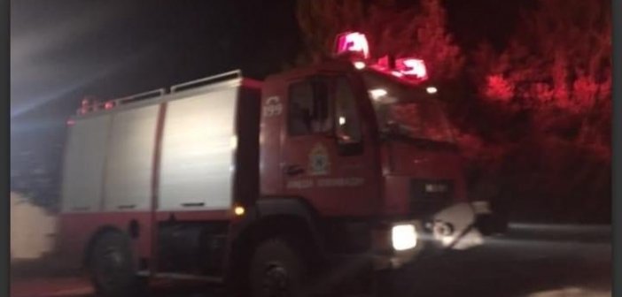 Φωτιά σε αποθήκη στο Βασιλόπουλο Ξηρομέρου – Kάηκαν και πρόβατα