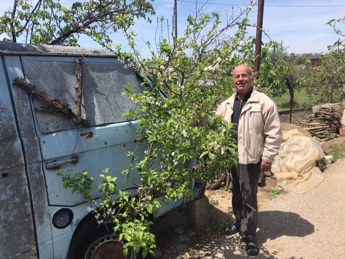 Παναιτώλιο: Φύτρωσε δέντρο σε εγκαταλελειμμένο αυτοκίνητο