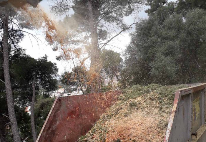 Συνεχίζονται και φέτος ο καθαρισμός και η κοπή δέντρων στο Κάστρο Ναυπάκτου