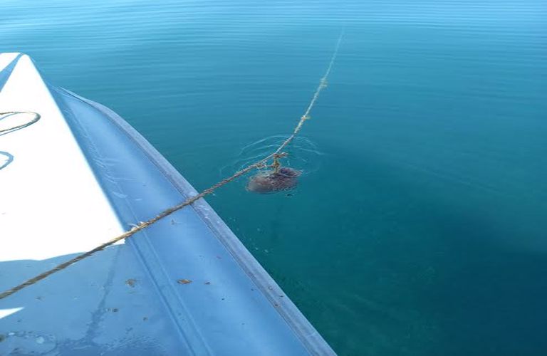 Μεσολόγγι: Κατασχέθηκαν παράνομα αλιευτικά εργαλεία